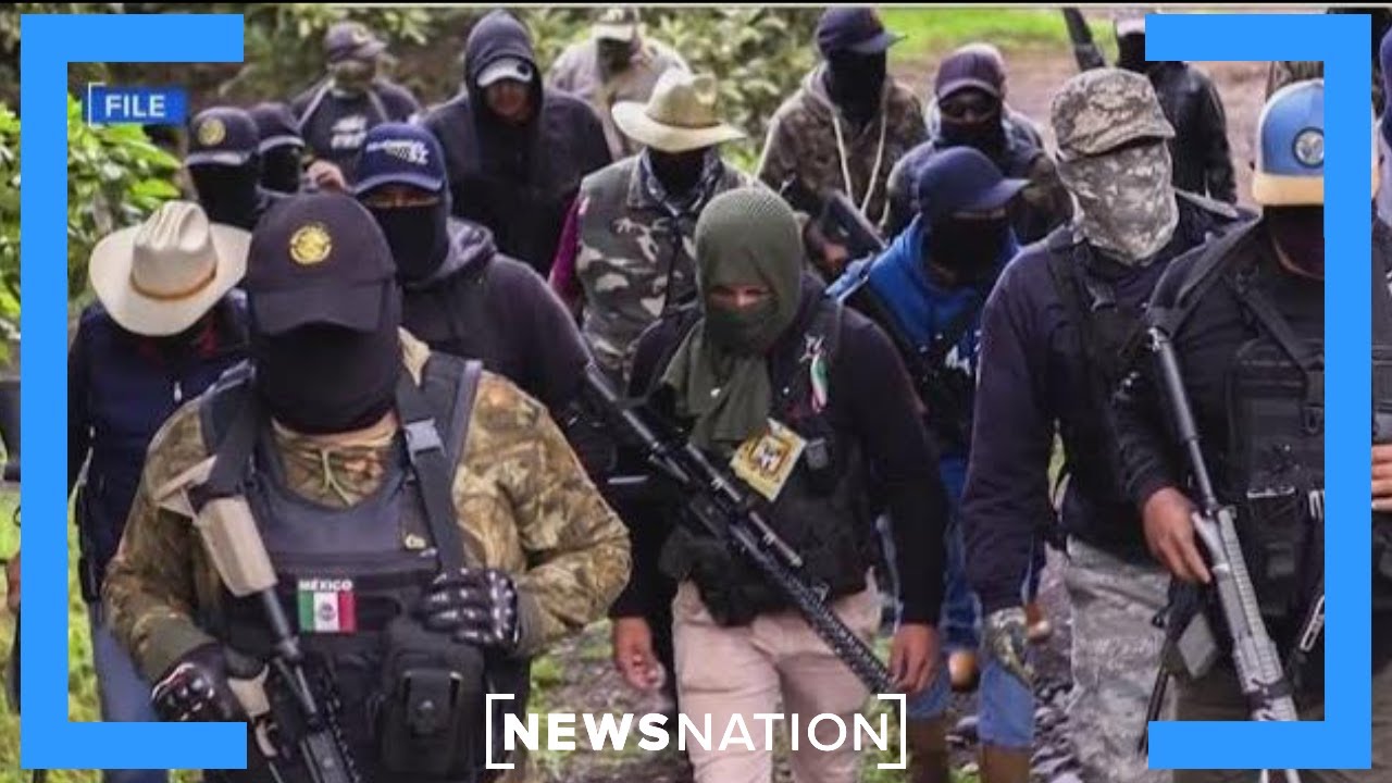 Trump declares Mexican cartels as foreign terrorist organizations | NewsNation Live